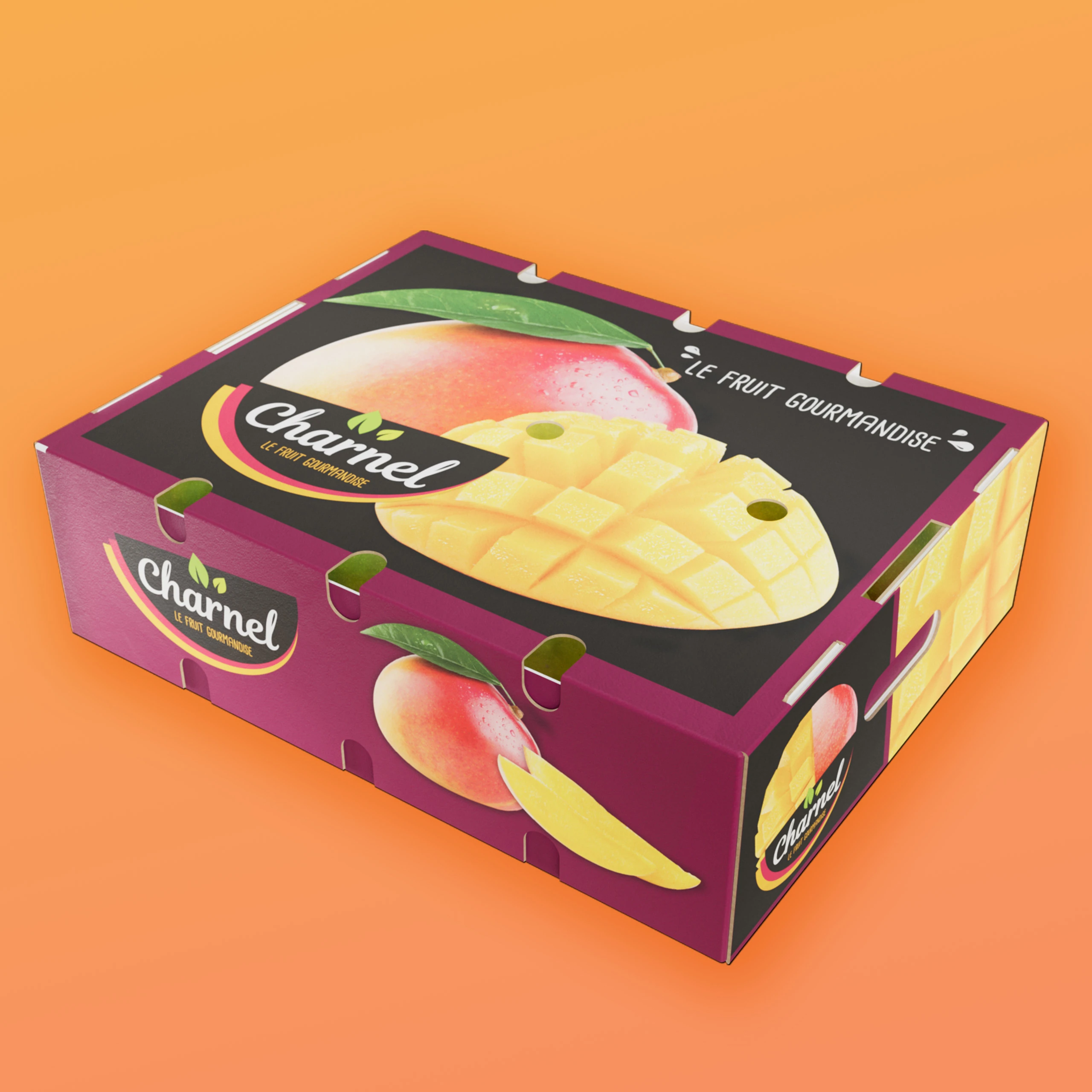Packaging Couvercle Mangue Colis 6 kg — Charnel
